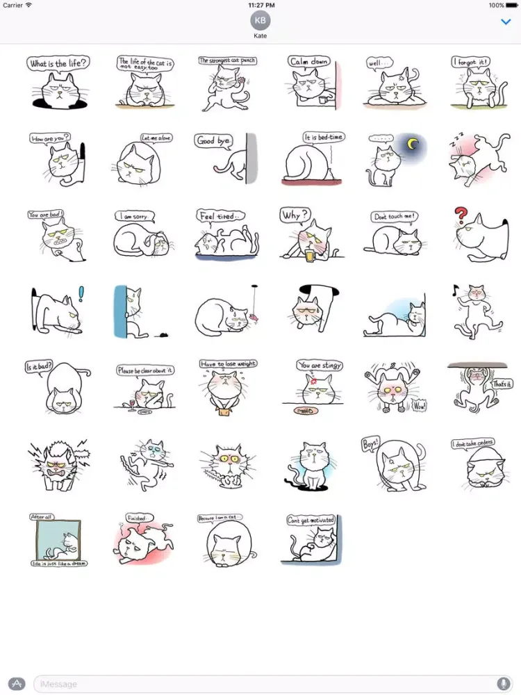 Scowl Cat Sticker iPad 应用截图