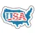 USA Icon Sticker