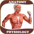 2021 Human Anatomy Atlas