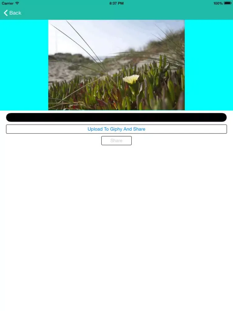 GIF Maker Pro iPad  Screenshots