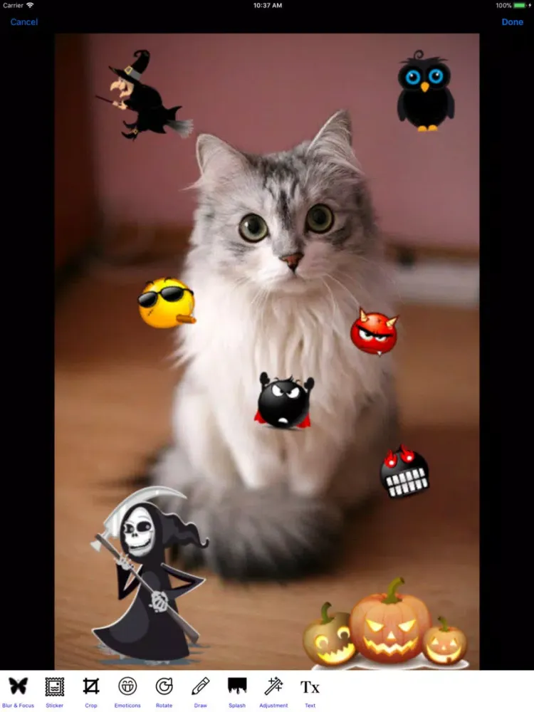 Photo Awsome - Editor, Collage iPad  Screenshots