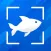 Fish Identifier Fish Finder