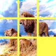 FunPuzzle21