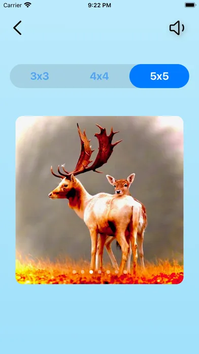 تصاویر FunPuzzle21