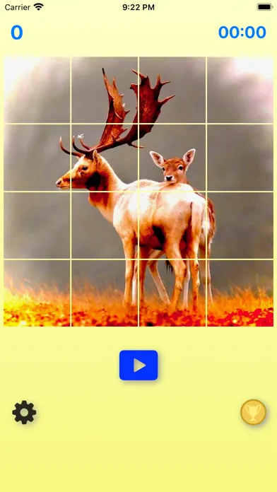 تصاویر FunPuzzle21