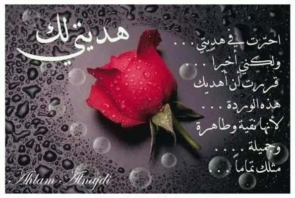 رسائل و كلمات حب应用截图