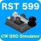 RST 599