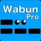 WabunMorsePro