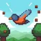 Shoot bird Go Home