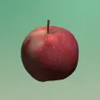 Slicing Master Slicing Master