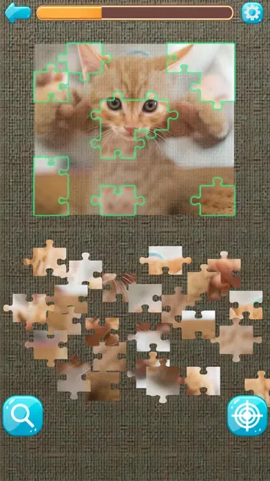 Tangkapan layar Cat's Gallery