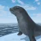 Seal Island