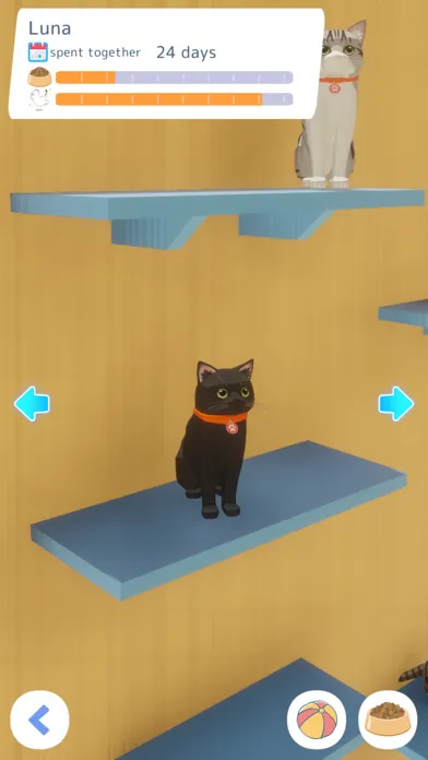 Cute Cat House 스크린샷