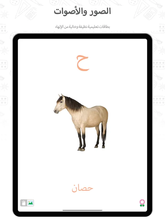 تصاویر أ أرنب – بطاقات تعليمية للحروف iPad 