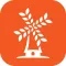 Holland Bakery - Shop & Reward