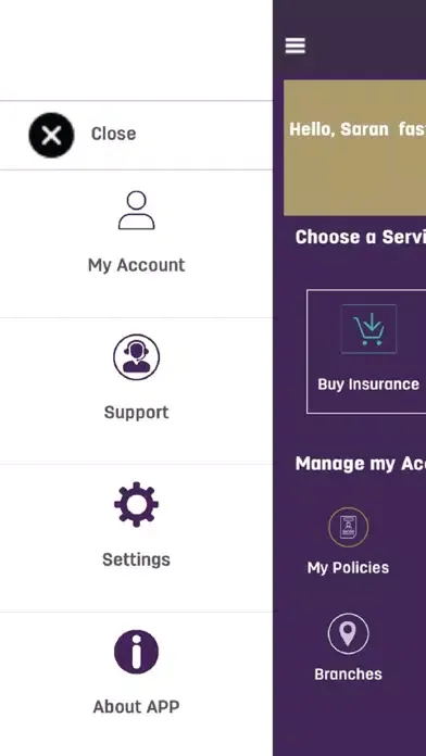 Hollard E-nsurance Ekran Görüntüleri
