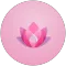 Pink Wallpapers