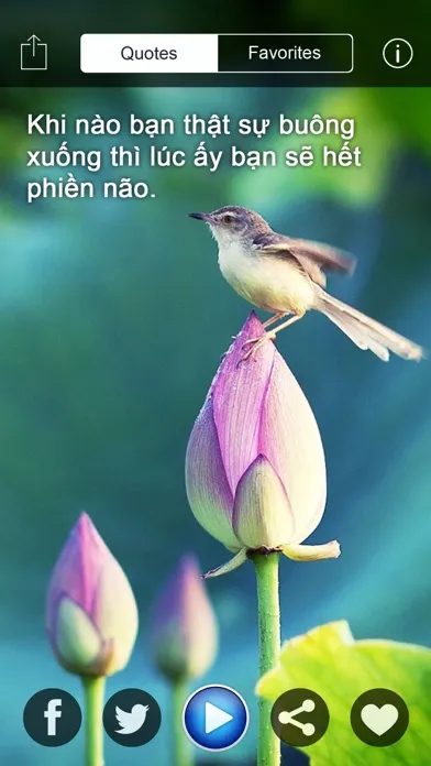 Скриншоты Phật Ngôn - Danh Ngôn Và Nhạc Phật Giáo Hay Nhất Cho Phật Tử