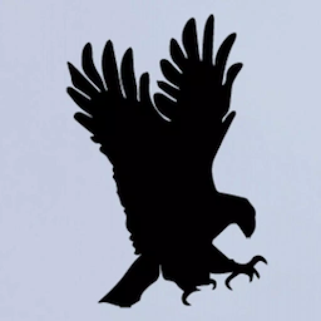 Eagles Nest Inspections Eagles Nest Inspections