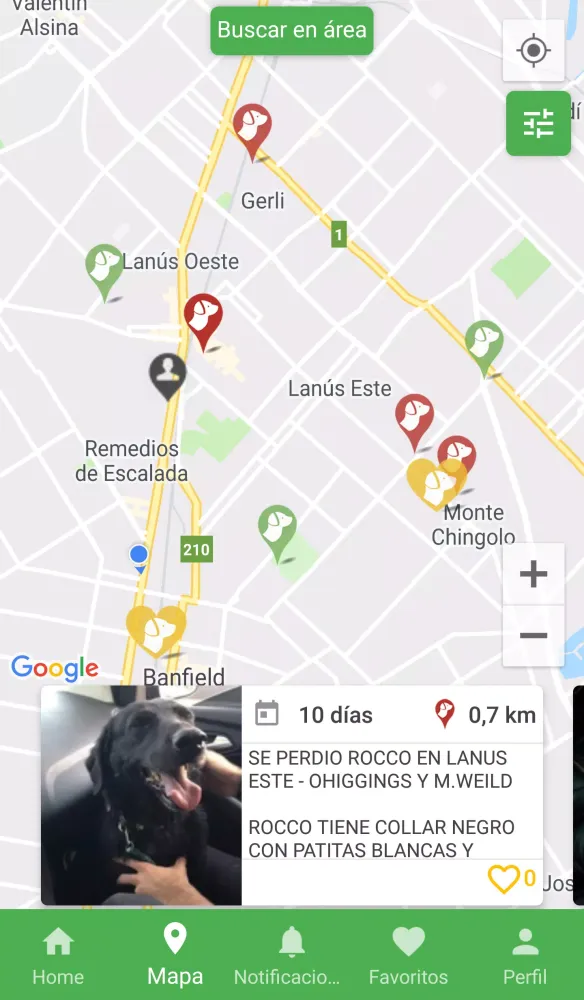 Home Pet Home Screenshots