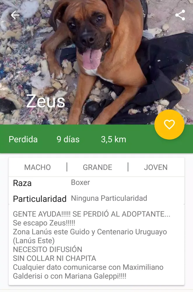 Home Pet Home Screenshots