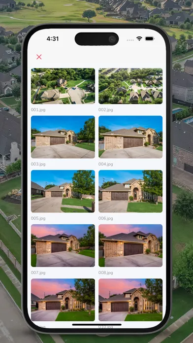Home Snappers Screenshots