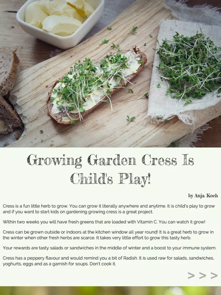 Homestead Gardener Magazine iPad  Ekran Görüntüleri