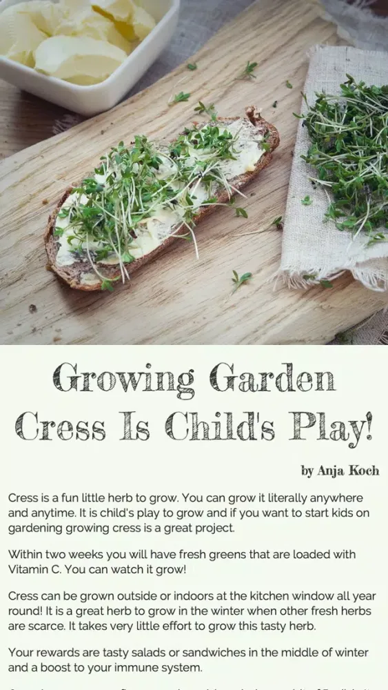 Homestead Gardener Magazine Ekran Görüntüleri