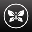 The Honest Company The Honest Company
