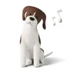 Pet Meditation: Calm and Relax