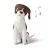 Pet Meditation: Calm and Relax