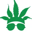CannaBuzz