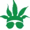 CannaBuzz