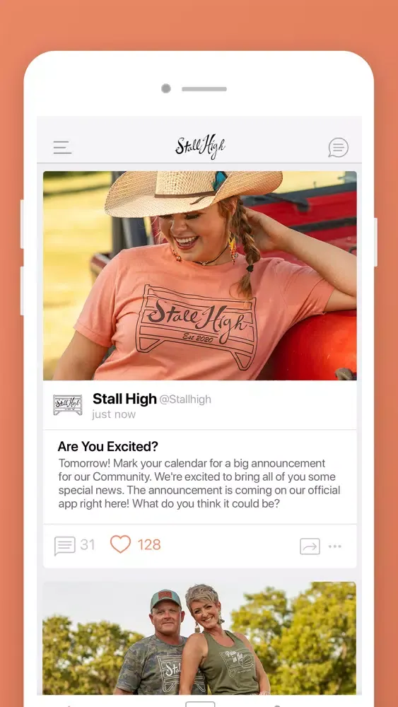 Screenshot di Stall High