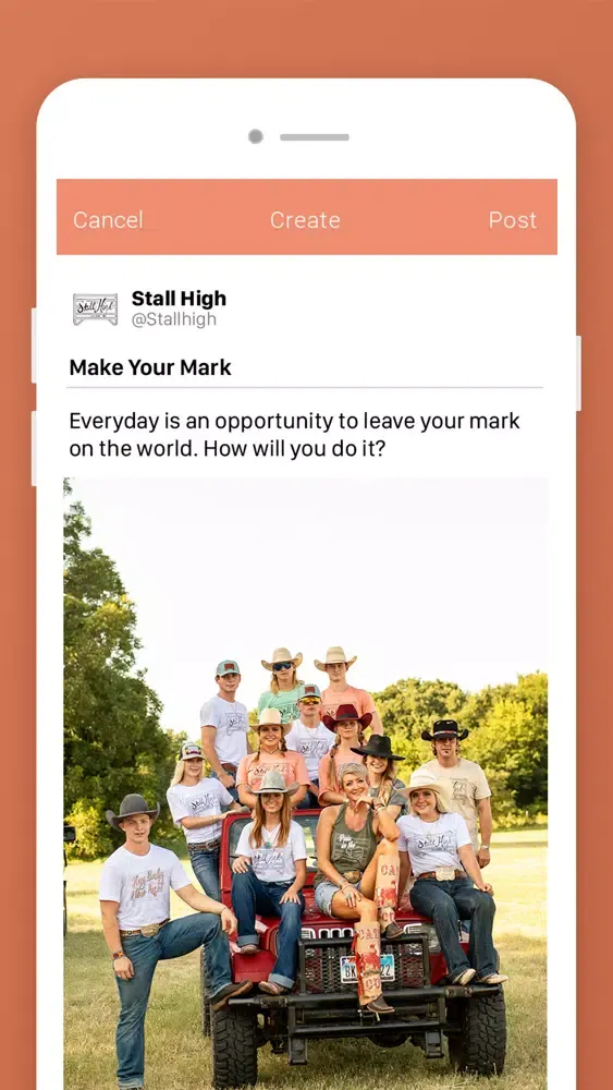 Screenshot di Stall High