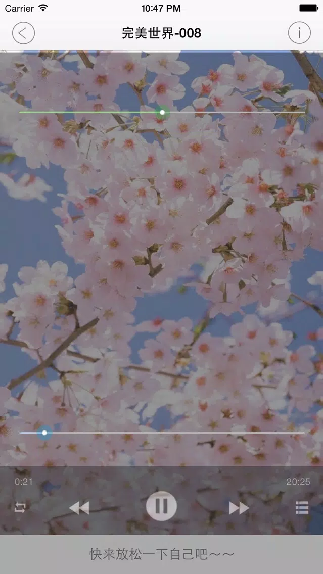 完美世界(有声小说1-50集)应用截图