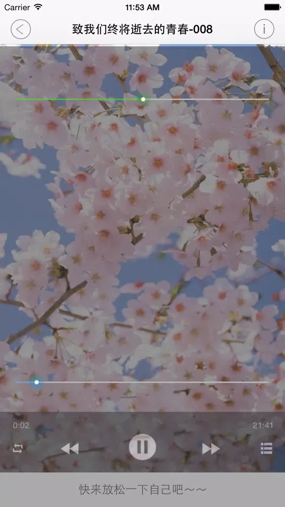 致青春有声小说 Screenshots