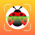 Insect ID Bug Identifier