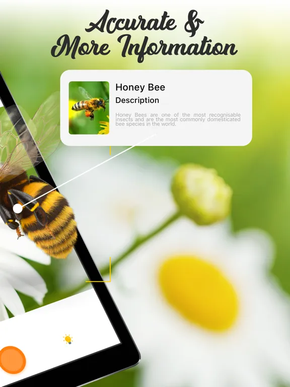Скриншоты Insect ID Bug Identifier iPad 