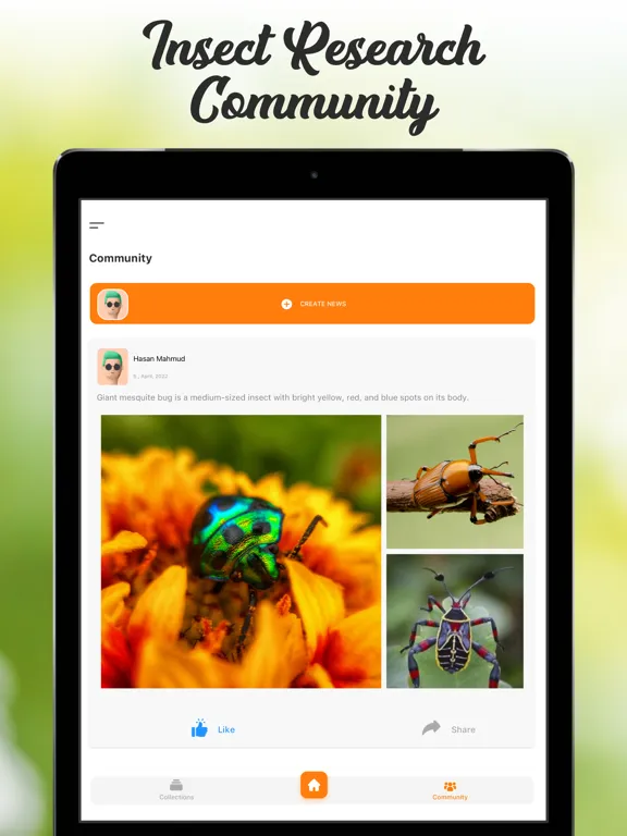 Скриншоты Insect ID Bug Identifier iPad 