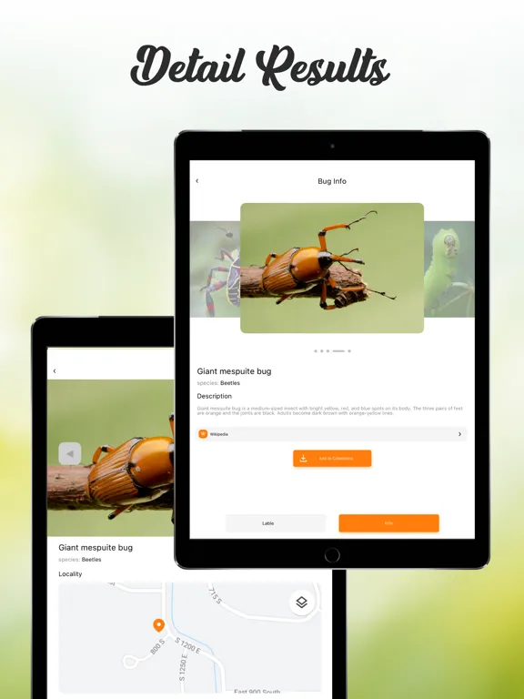 Скриншоты Insect ID Bug Identifier iPad 