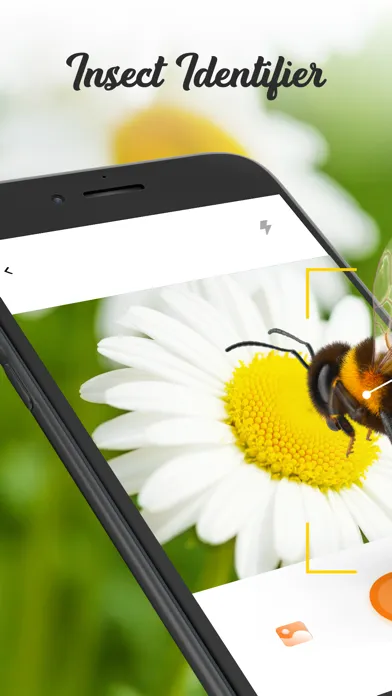 Скриншоты Insect ID Bug Identifier