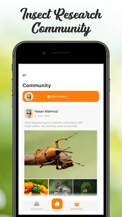 Скриншоты Insect ID Bug Identifier