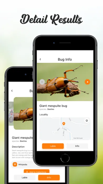 Скриншоты Insect ID Bug Identifier