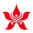 Hong Kong Airlines