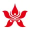 Hong Kong Airlines