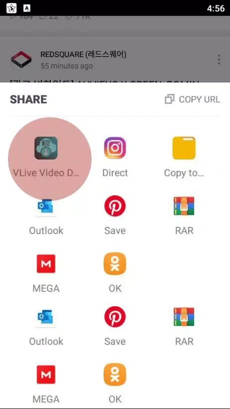 VLive Video Downloader应用截图