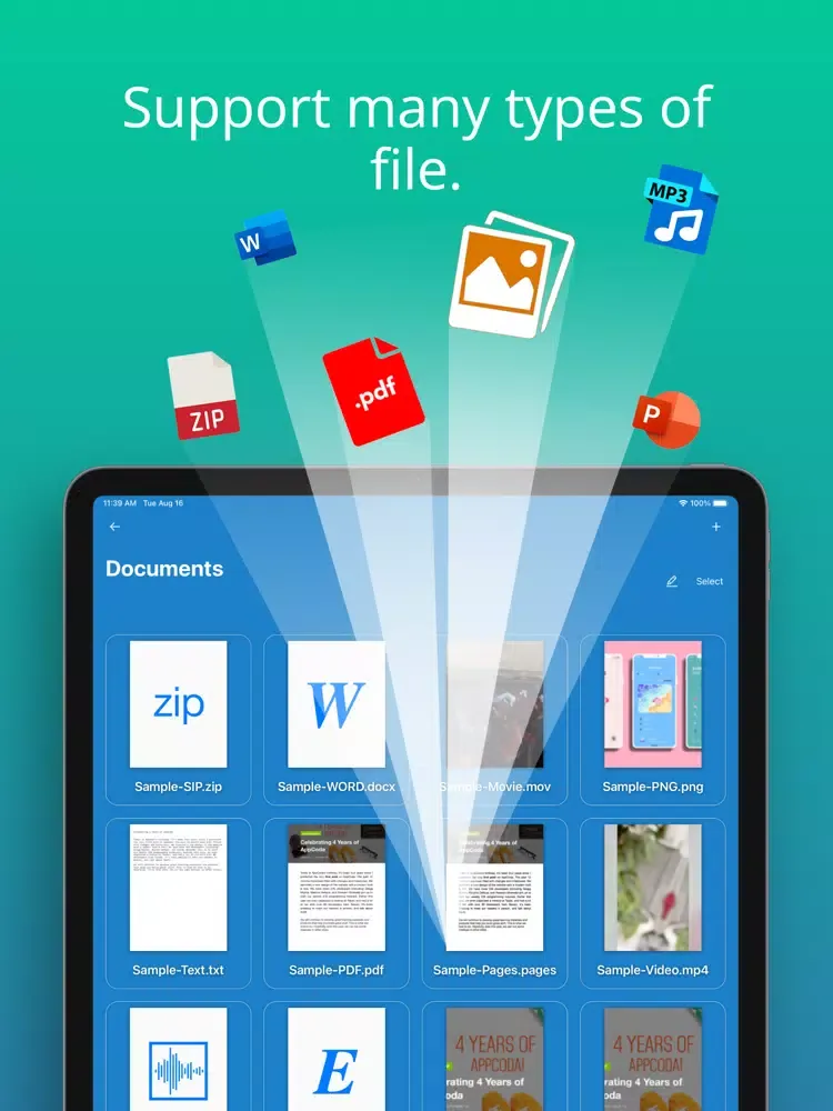 Tangkapan layar iCleaner - SFV iPad 