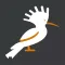 Hoopoe Chatting App