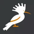 Hoopoe Chatting App Hoopoe Chatting App